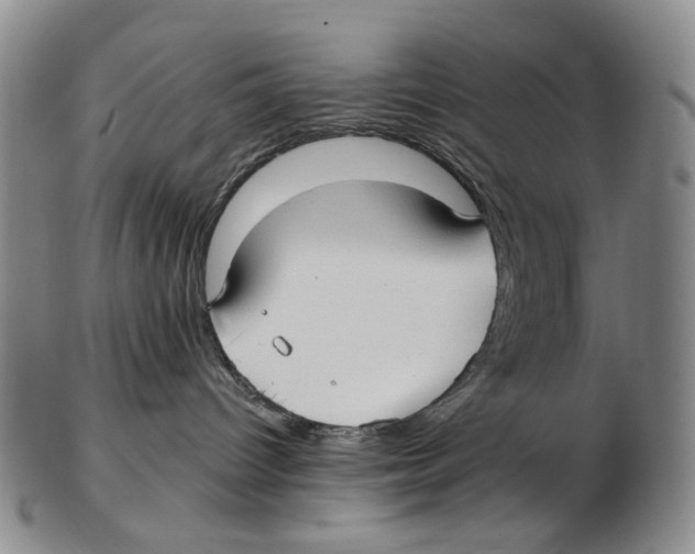 X0000102790096200809151135