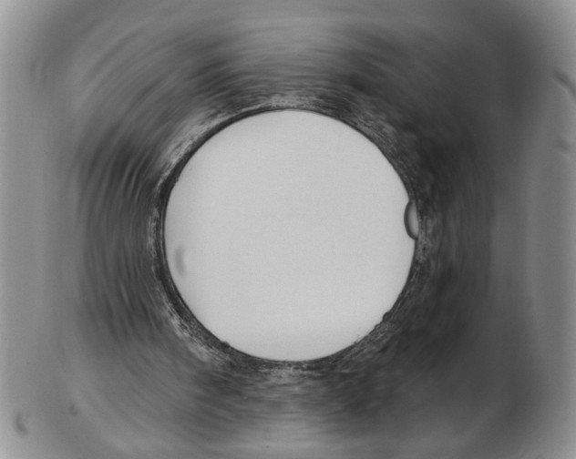 X0000102790098200809151134