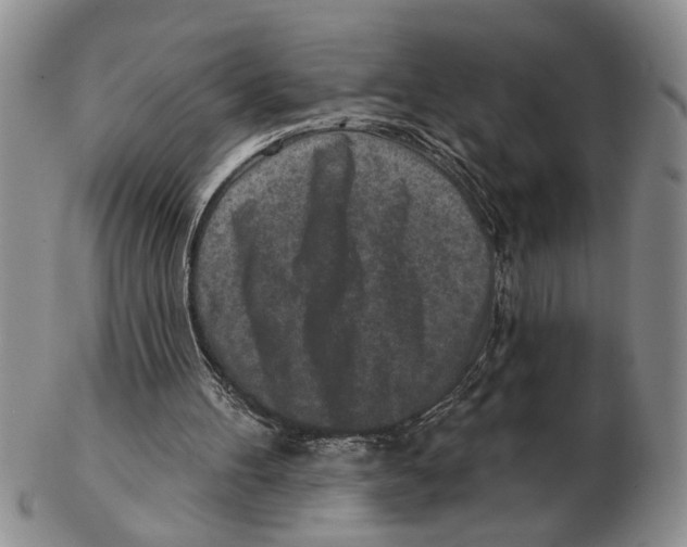 X0000102790100200809151134