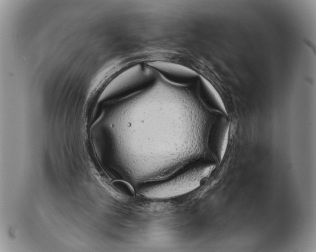 X0000102790101200809151134