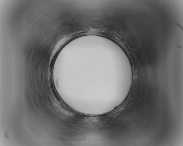 X0000102790102200809151134