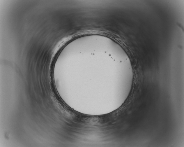 X0000102790104200809151134