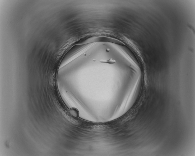 X0000102790105200809151134