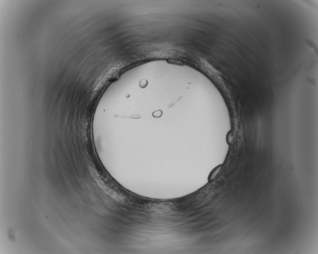 X0000102790106200809151134