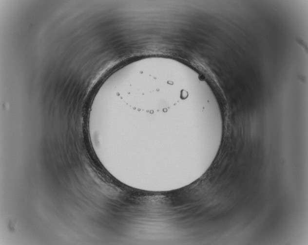 X0000102790108200809151134