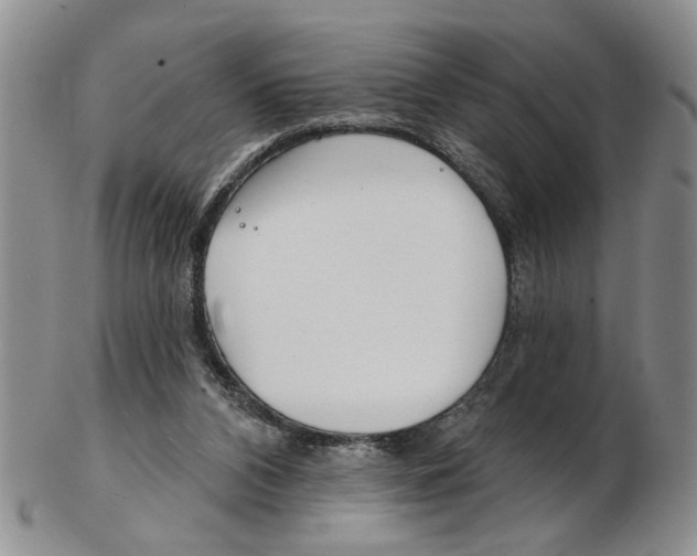 X0000102790112200809151134