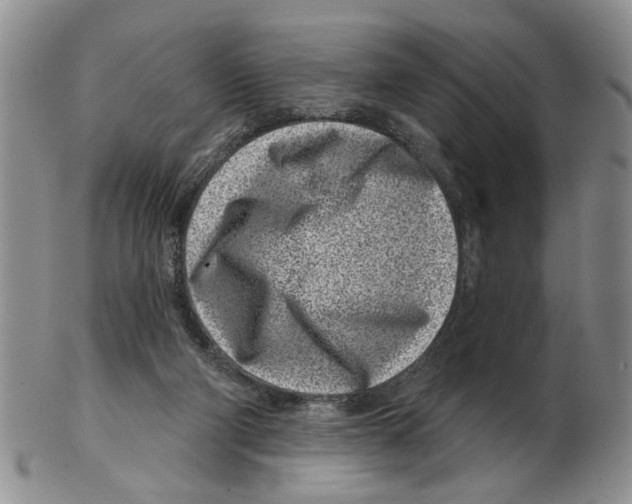 X0000102790114200809151134