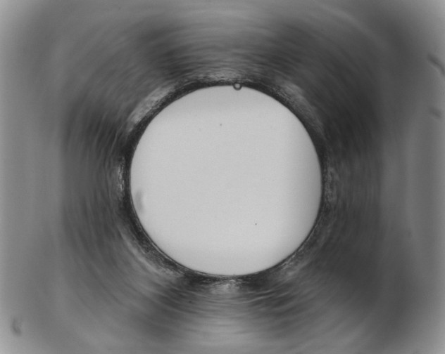 X0000102790116200809151134