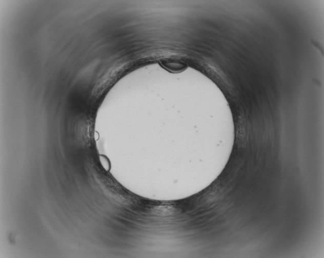 X0000102790119200809151134