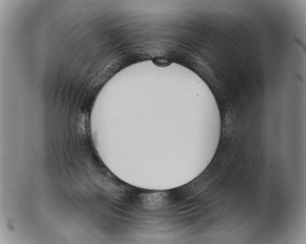 X0000102790122200809151134