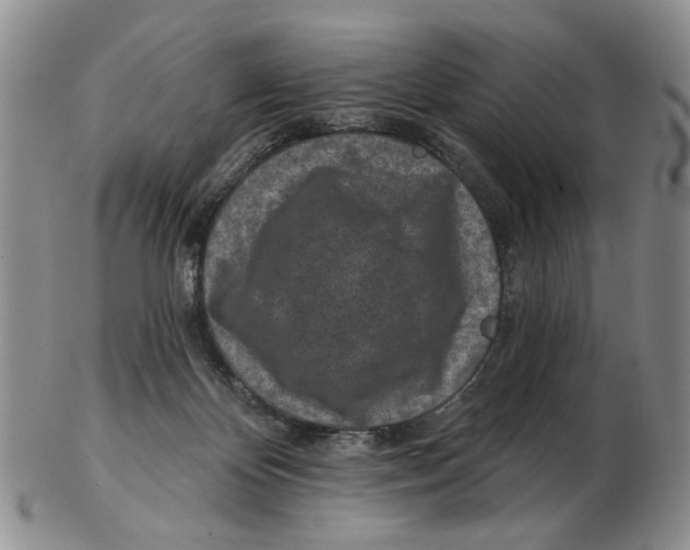 X0000102790124200809151134