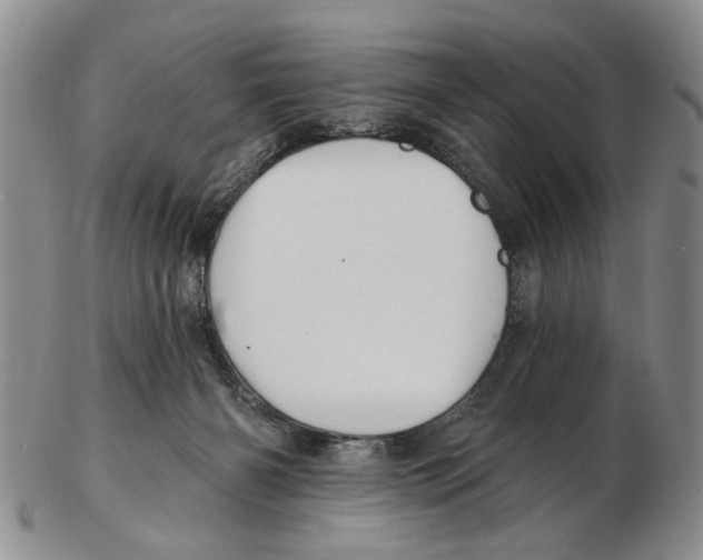 X0000102790126200809151134