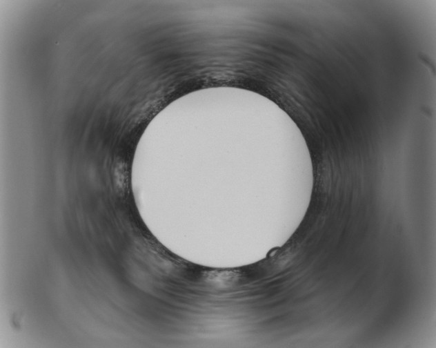 X0000102790135200809151133