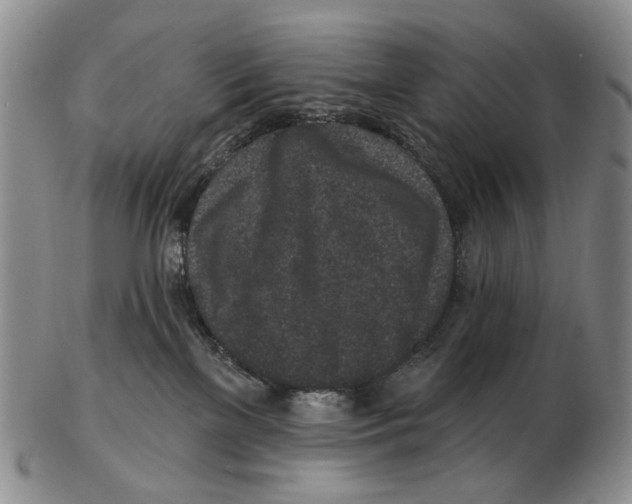 X0000102790137200809151133