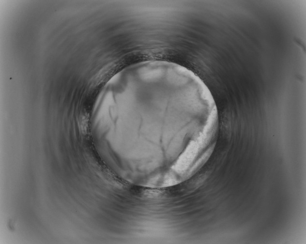 X0000102790139200809151133