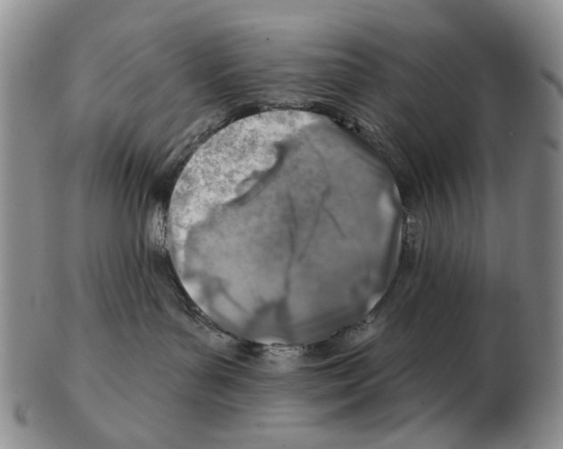 X0000102790143200809151133