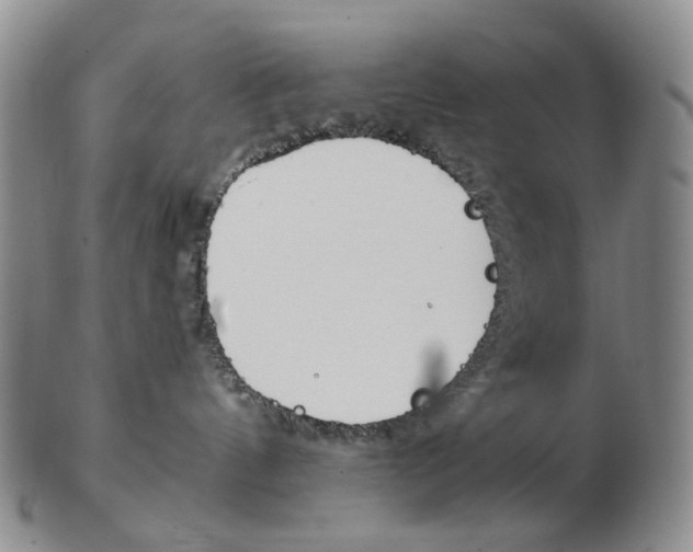 X0000102790144200809151133