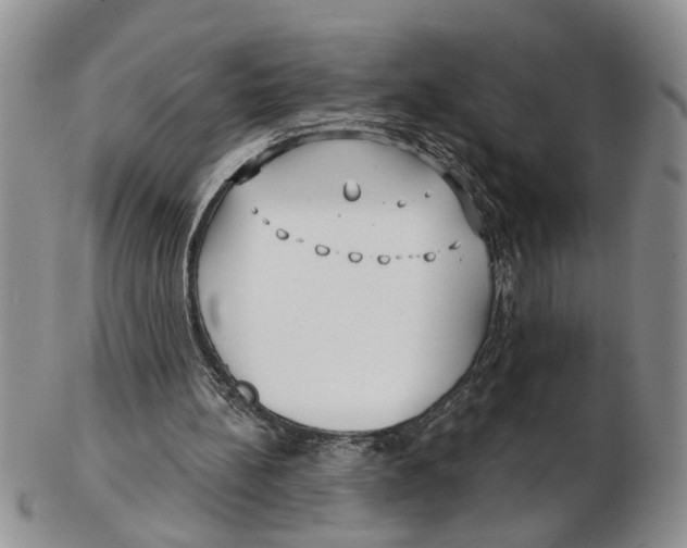 X0000102790148200809151132