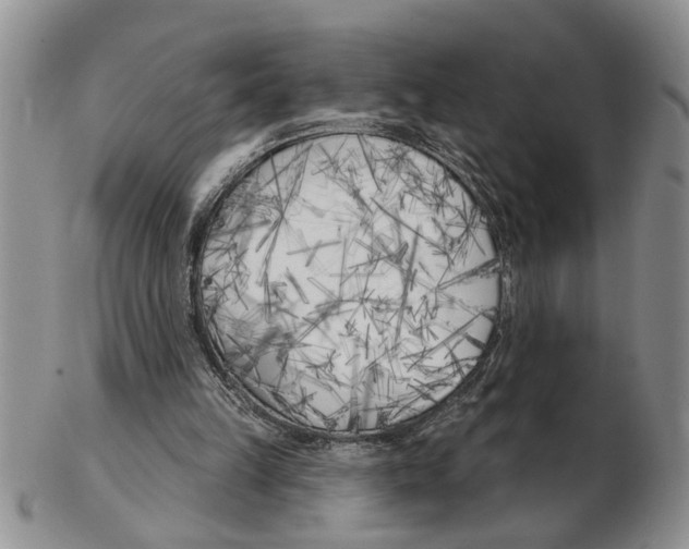 X0000102790149200809151132