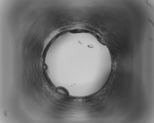 X0000102790152200809151133