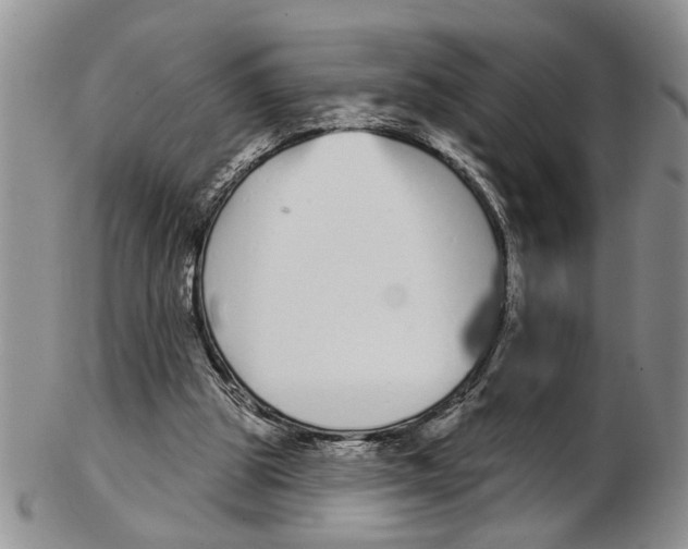 X0000102790153200809151133