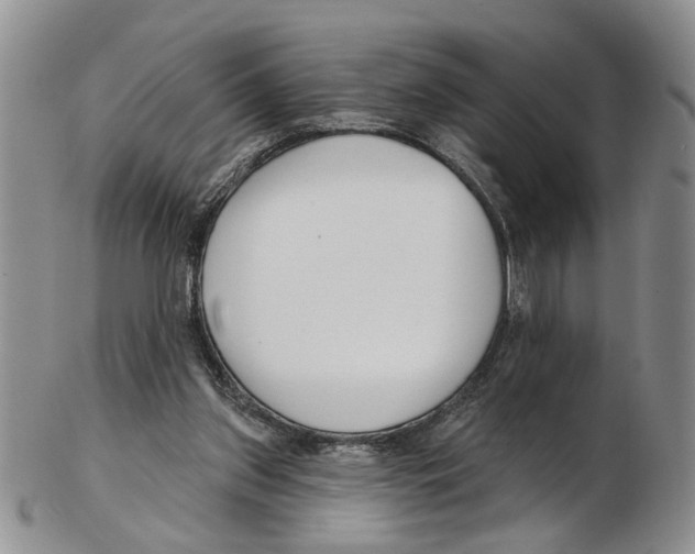 X0000102790157200809151133