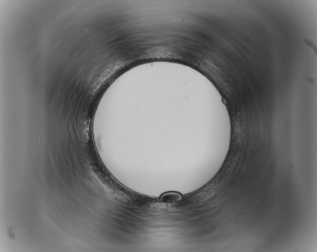 X0000102790160200809151133