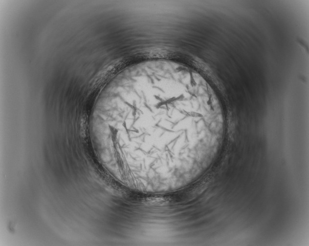 X0000102790161200809151133