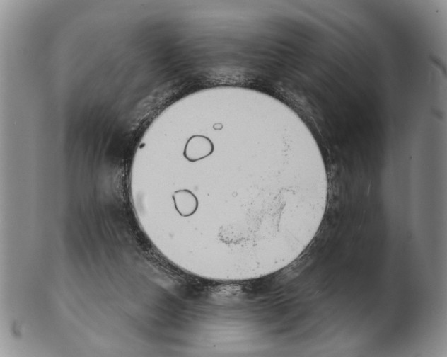 X0000102790162200809151133