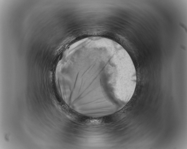 X0000102790163200809151133