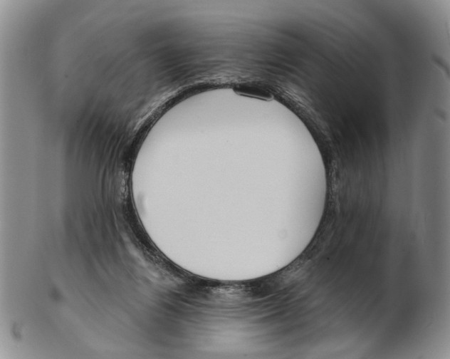 X0000102790164200809151133