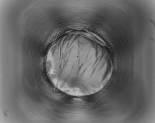 X0000102790167200809151133