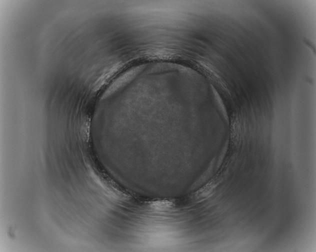 X0000102790168200809151133