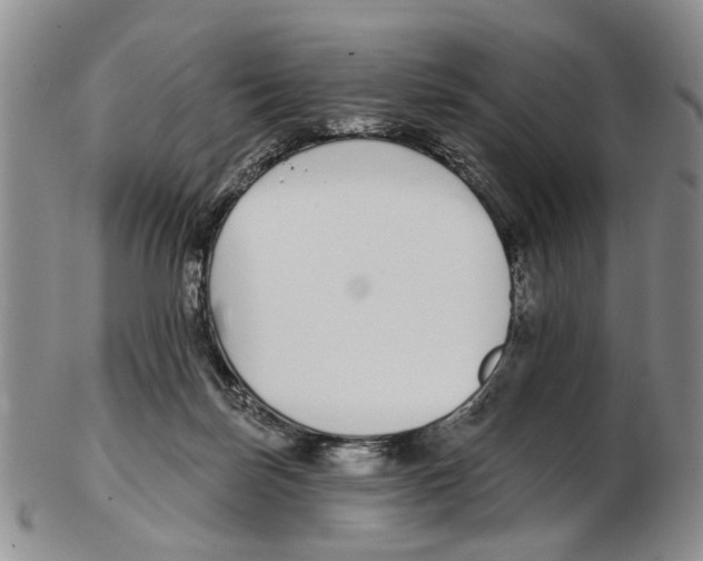 X0000102790171200809151133