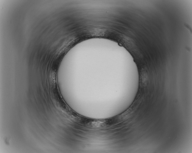 X0000102790172200809151133