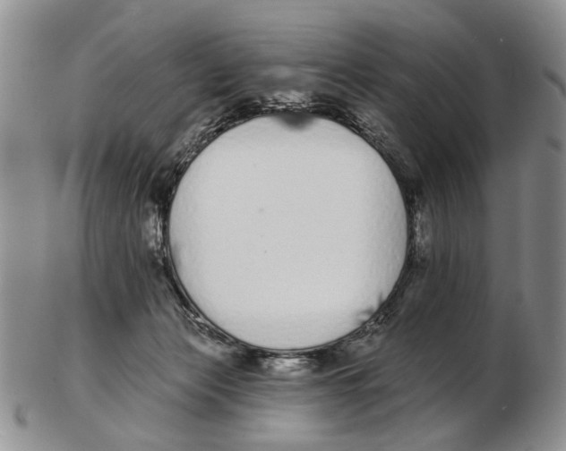 X0000102790173200809151133