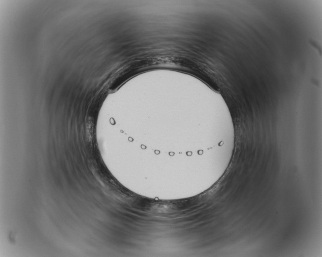 X0000102790174200809151133