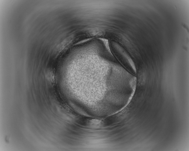 X0000102790176200809151133