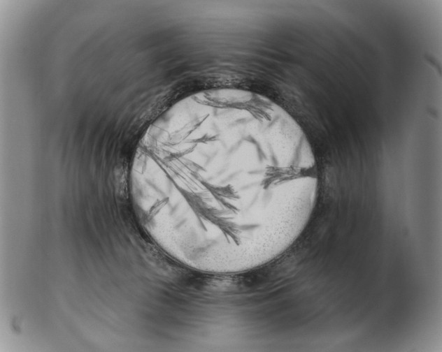 X0000102790177200809151133