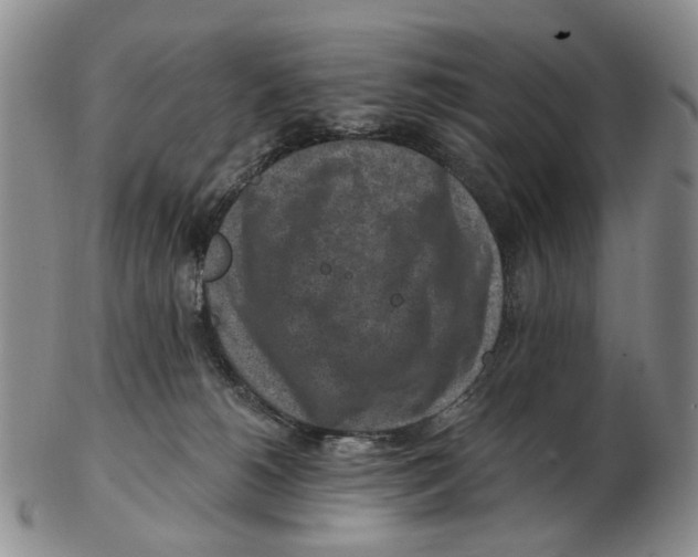 X0000102790180200809151133