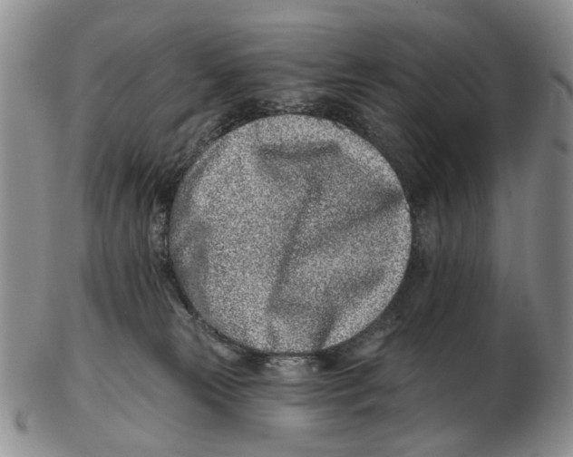 X0000102790181200809151133