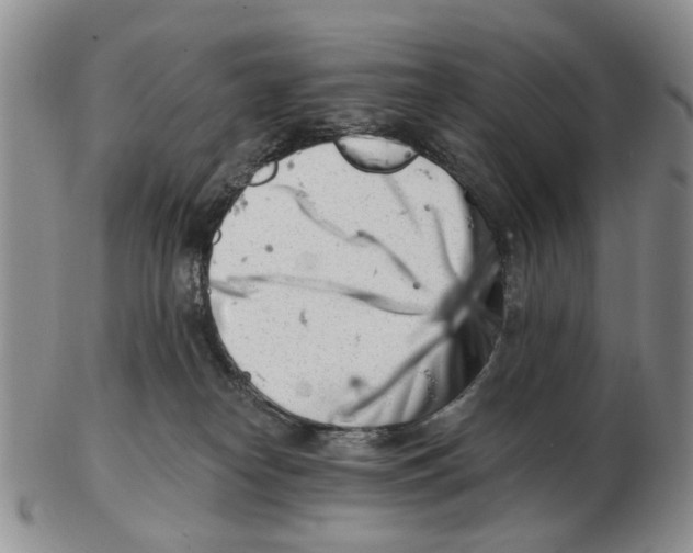 X0000102790182200809151133