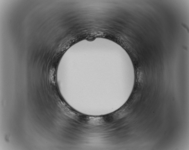 X0000102790185200809151133