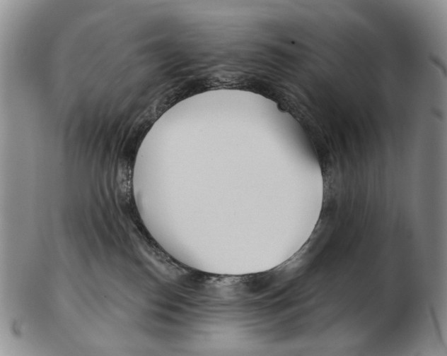 X0000102790186200809151133