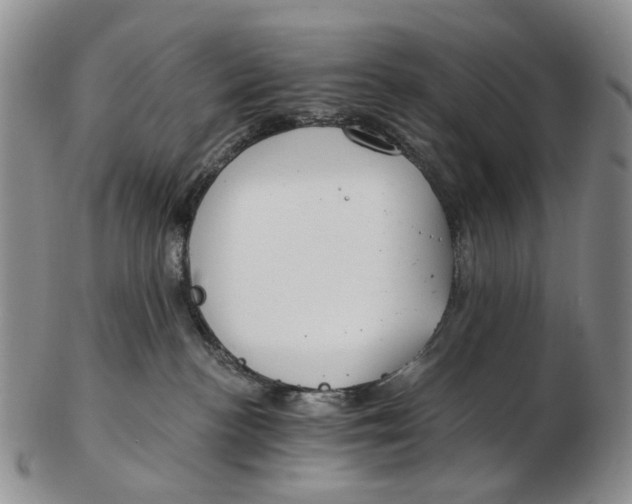 X0000102790188200809151133