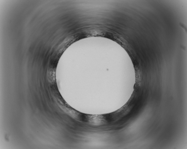 X0000102790191200809151133