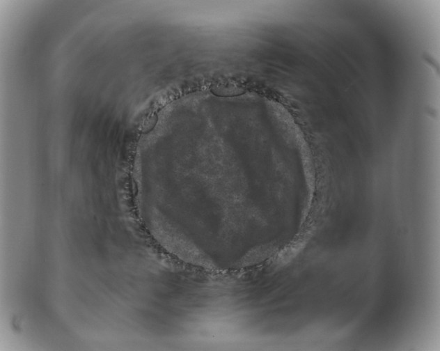 X0000102790192200809151133