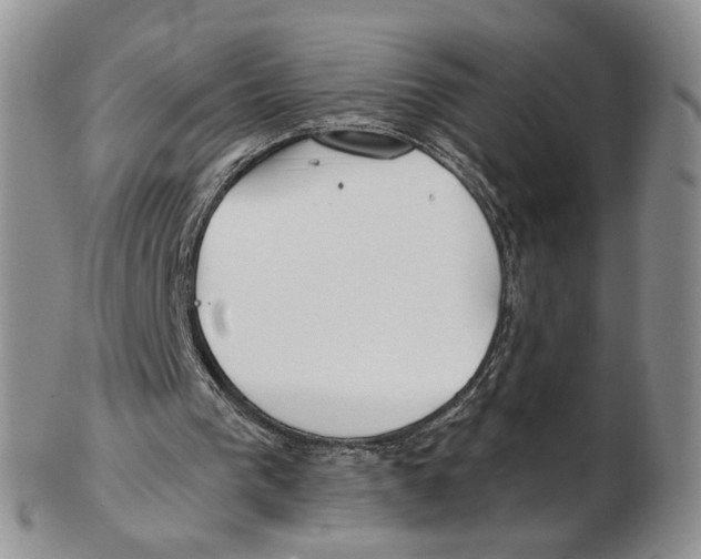 X0000102790193200809151132