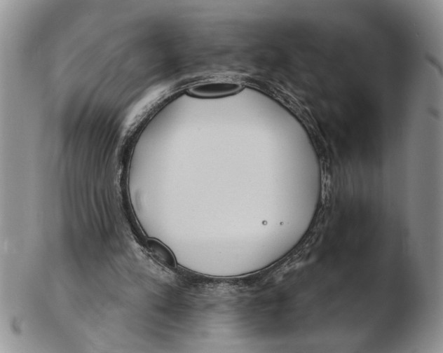 X0000102790197200809151132