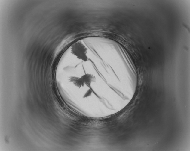 X0000102790198200809151132